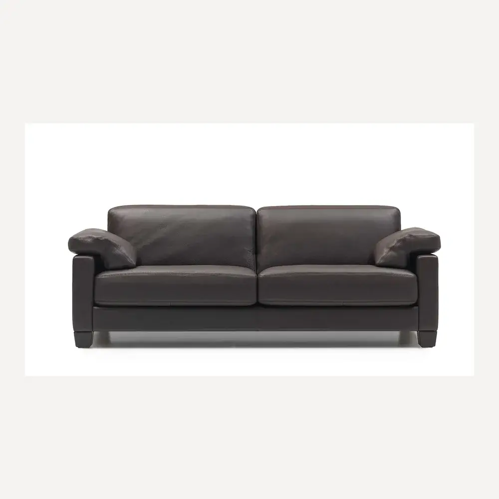 Schwarzes Ledersofa von Desede Switzerland mit zwei Kissen und klassischem Design.