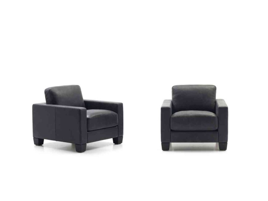 De Sede - Sessel DS-17