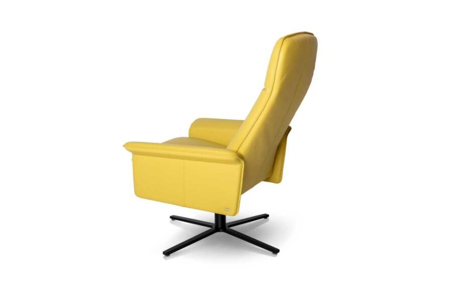De Sede - Sessel DS-55