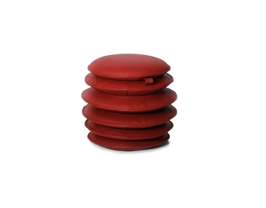 DS-5050 Macaron